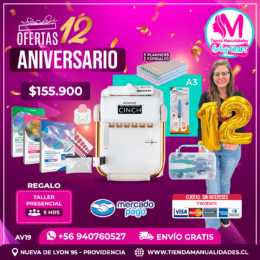 AV19 Kit Universal Cinch - Envío gratis