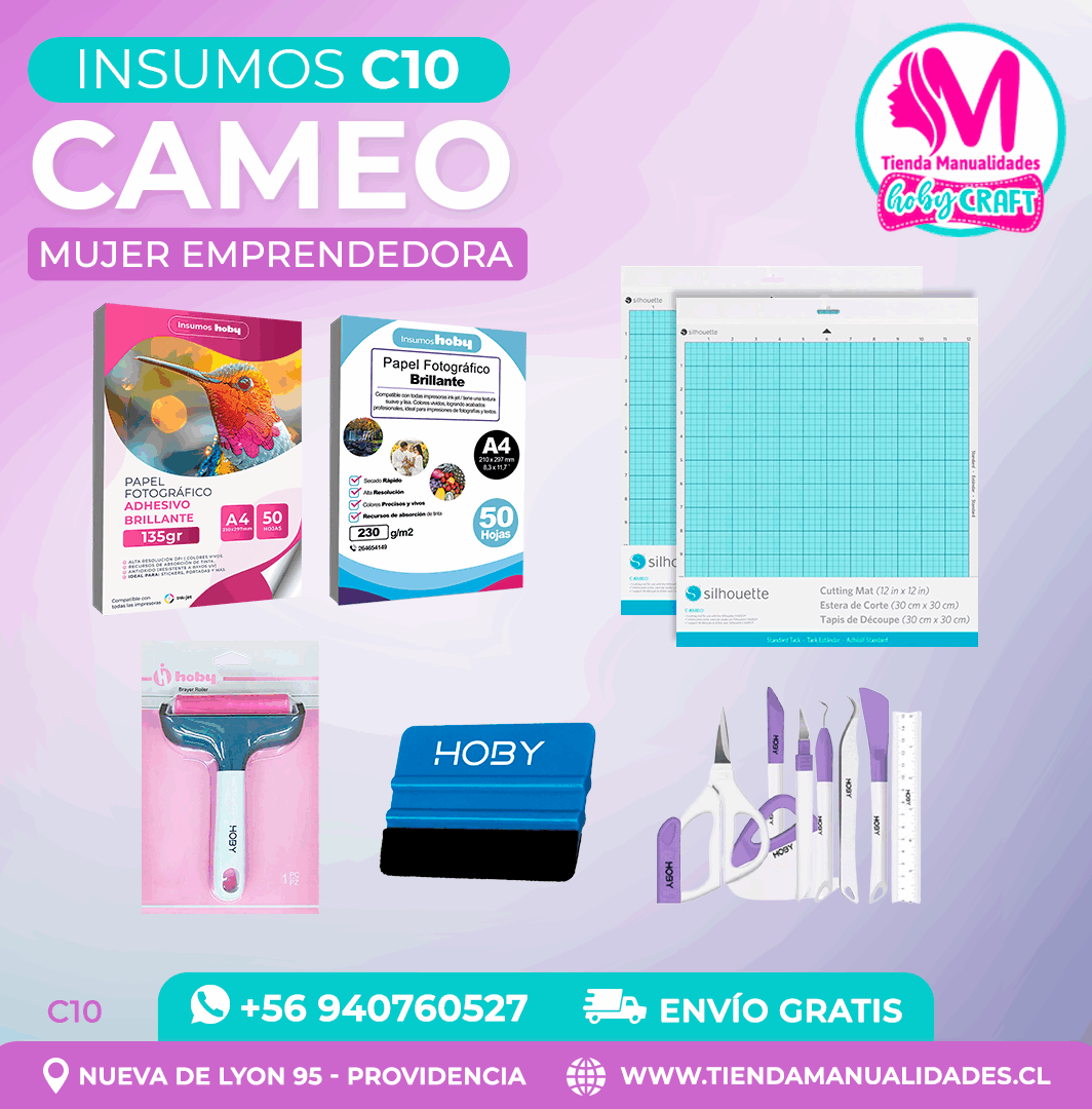 C10 Insumos Cameo – Envío gratis