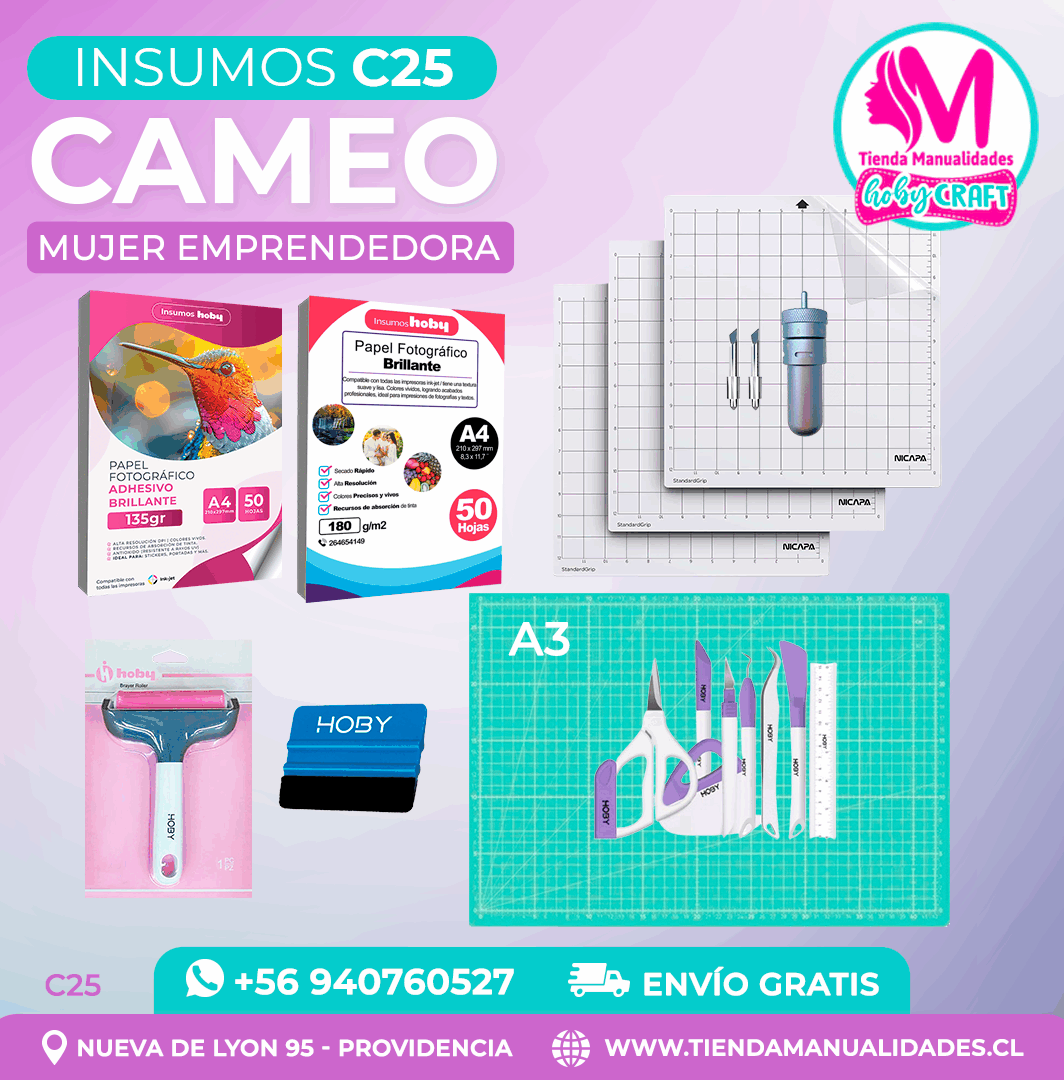 C25 Insumos Cameo – Envío gratis
