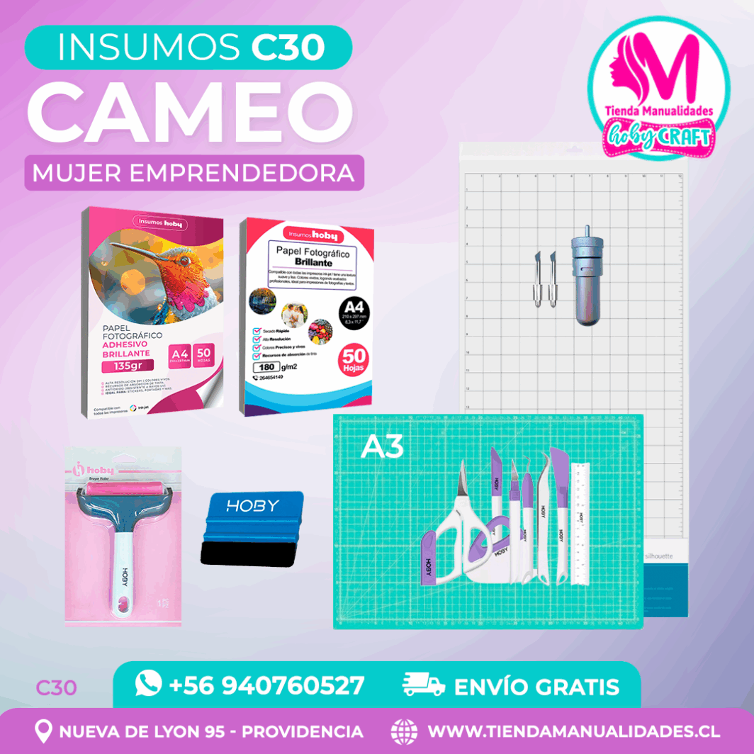 C30 Insumos Cameo – Envío gratis