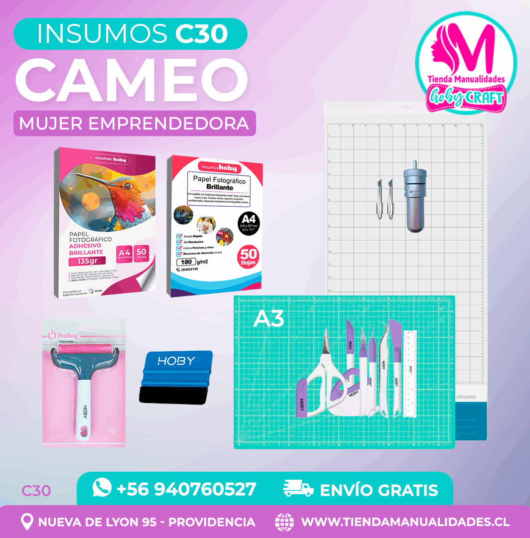 C30 Insumos Cameo – Envío gratis